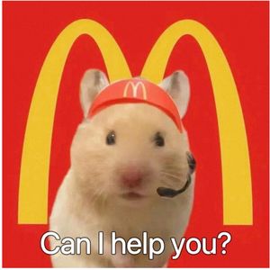 懒人福音每日英语磨耳朵