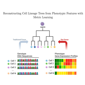 074-Reconstructing Cell Lineage Trees