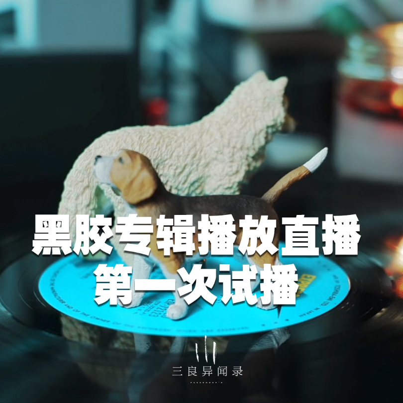 【直播回放】黑胶专辑播放 第一次试播 2023/10/30 episode artwork