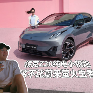 没想到领克Z20竟然割了欧洲车主的韭菜