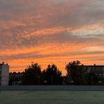 mm豆真的很好吃