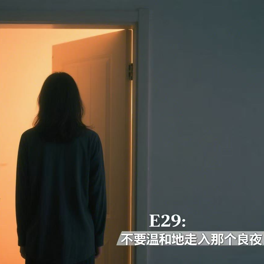 E29:不要温和地走入那个良夜