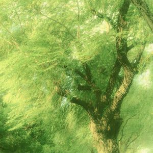 podcaster-avatar
