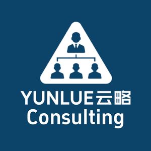 云略Consulting