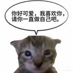 小L_bot