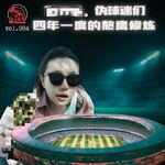 杂谈向vol.084-世界杯，伪球迷们四年一度的熬鹰修炼（音频专享版）