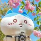 葉壹_Ixzm