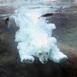 回家做饭也挺好