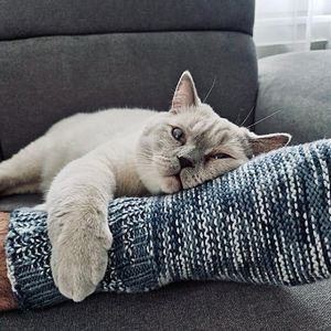 No. 101- 人类不缺热闹，缺的是独处时平静的力量