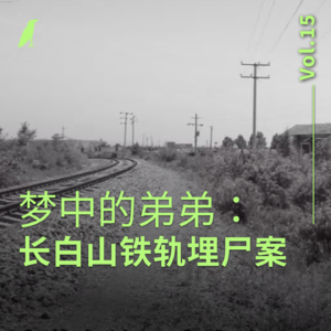 015 梦中的弟弟：长白山铁轨埋尸案