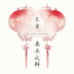 111 苏童《妻妾成群》：想象另一种妇女生活