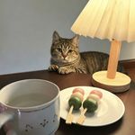 小哈小哈就是小哈