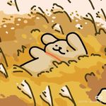 里在这里鸭