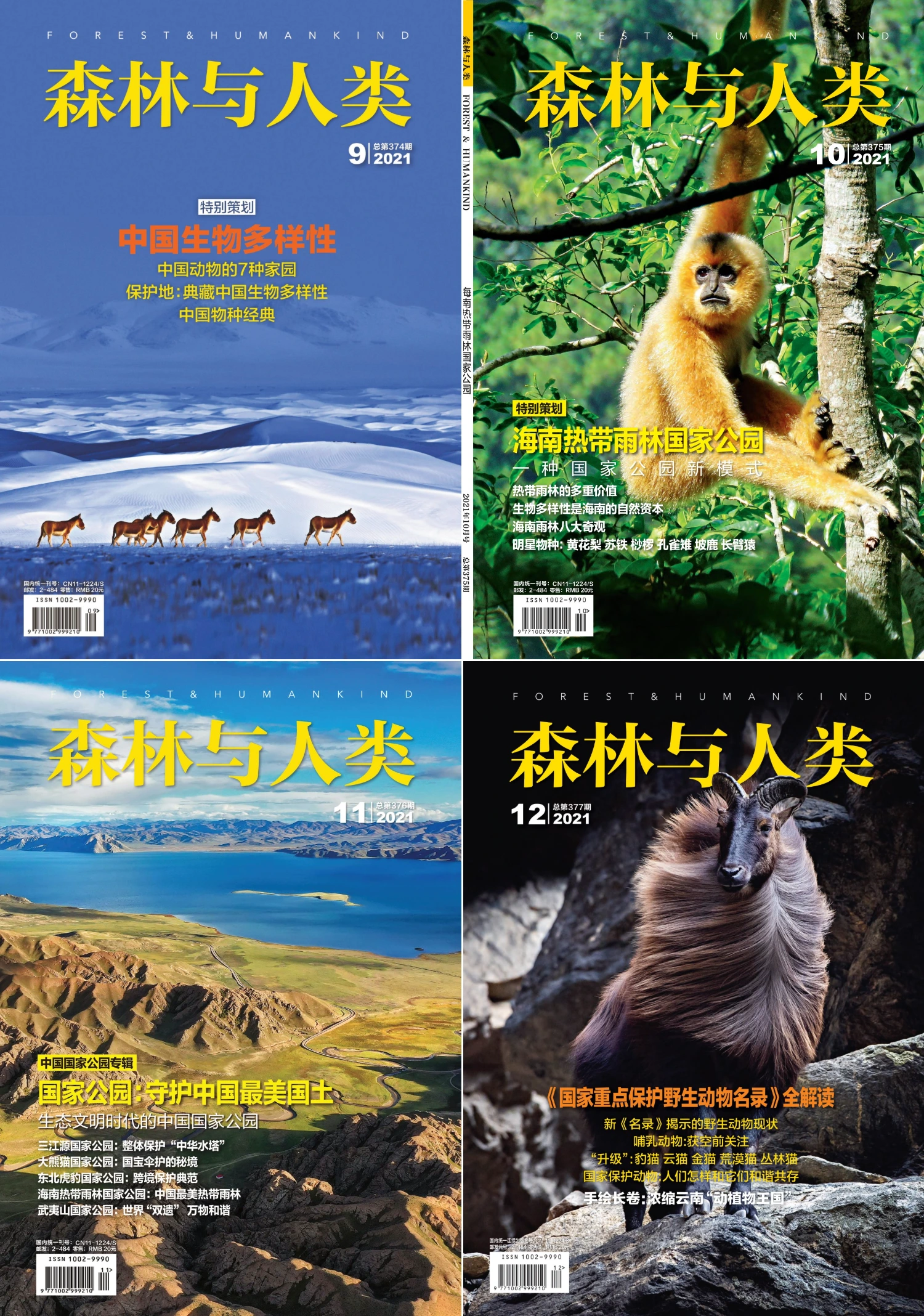 森林与人类 2021全年共12本 PDF