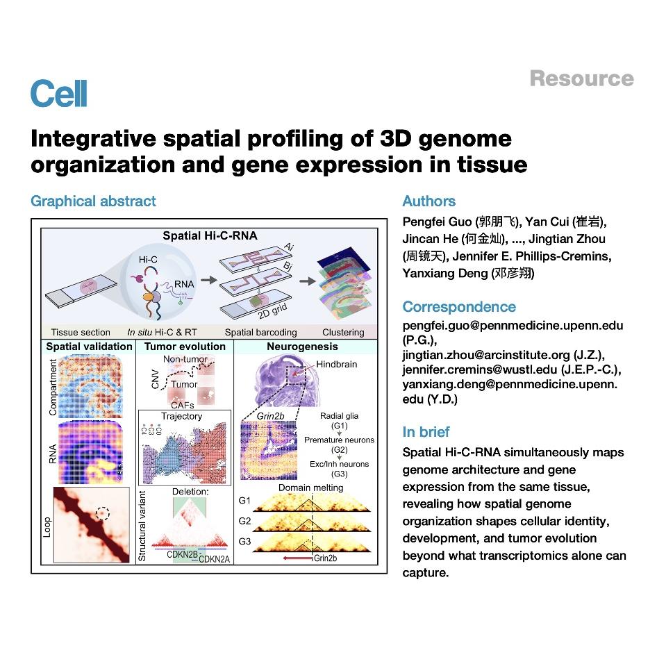 1571-Spatial Hi-C-RNA Maps 3D Genom&Transcriptome in Tissue episode artwork