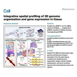 1571-Spatial Hi-C-RNA Maps 3D Genom&Transcriptome in Tissue