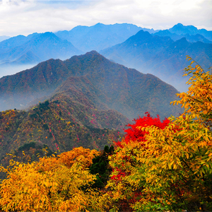 走读秦岭：一山划南北，民宿续文脉！