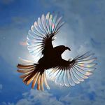 籍籍无名的你和我非NPC