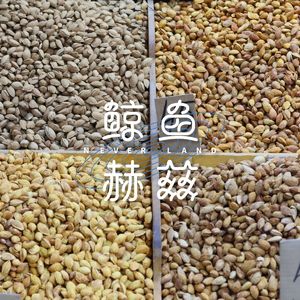 Vol.56 你家有什么好买的土特产吗？