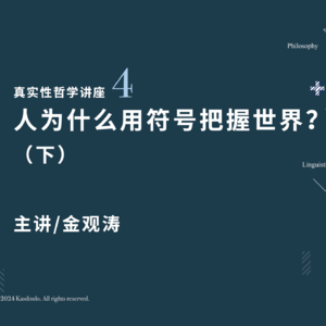 金观涛：人为什么用符号把握世界（下）｜真实性哲学系列讲座