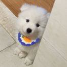 旁友哪能意思啊