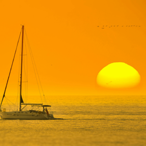 012. 《涉过愤怒的海》：父母的爱也是一场cosplay，他们演得更入戏