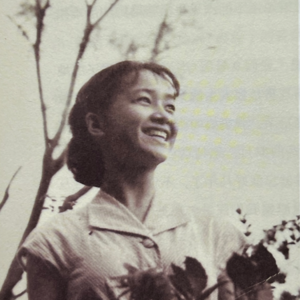《平江路的老房子》（节选/猫鱼）陈冲