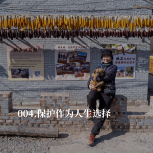 004.退休的护士长，做公益开启了第二人生