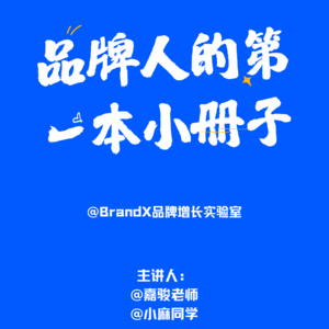 第十二课：BrandX品牌认知飞轮—品牌概念