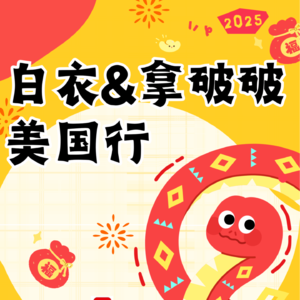 新春特辑：在美国当地发回的观展报道