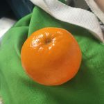 马可瓦尔多睡大街