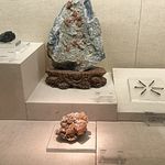 福福福来