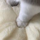 Nina_AJcm