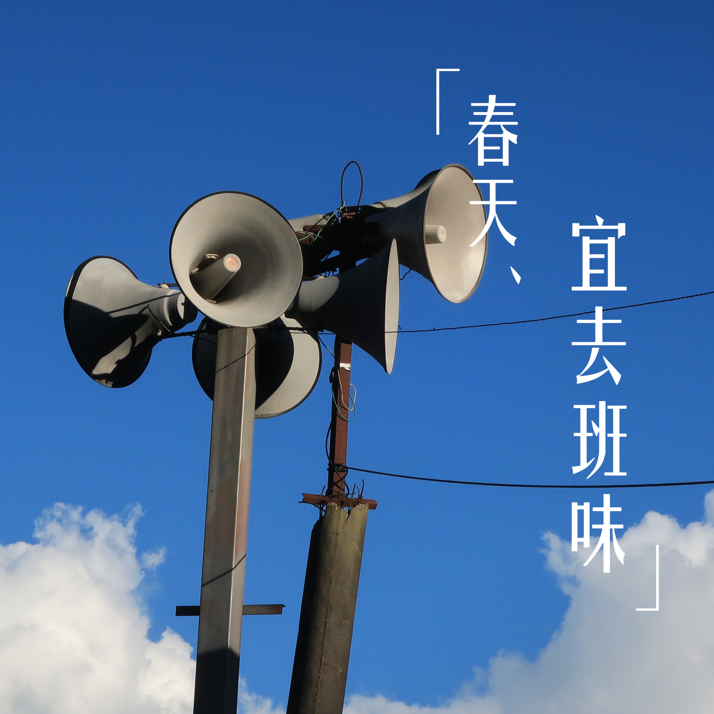 EP37-春天来了，我对“班味”过敏了 episode artwork