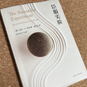 19当我意识到无法掌控一切，为什么《臣服实验》的放手是一种参考