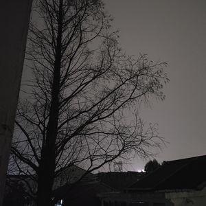 podcaster-avatar