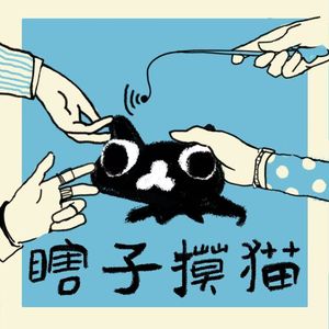 瞎子摸猫
