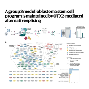 185-OTX2 Regulation of Splicing in Medulloblastoma