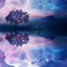 放松_3YX8