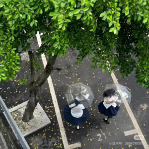 三十岁女生聊聊工作