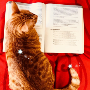 雅思口语Part 3高分语料 | Acting and Actors 表演和演员