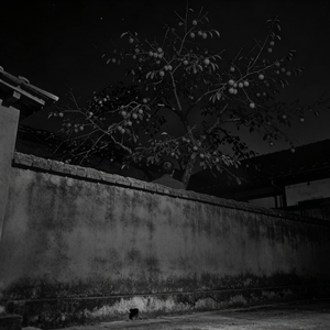 65.【夜谈诡话】旋转的人影