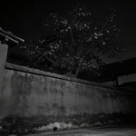 65.【夜谈诡话】旋转的人影