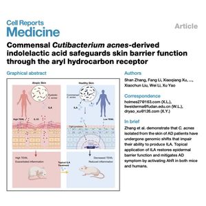 1329-Indolelactic Acid Restores Skin Barrier
