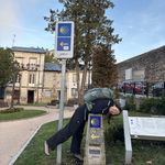 蓝花楹不是蓝色的