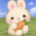 粒粒蕾ovw