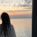 我是杨11