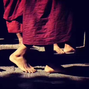 【2025】长歌有和 独行有灯