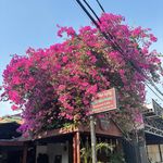夏至_2026