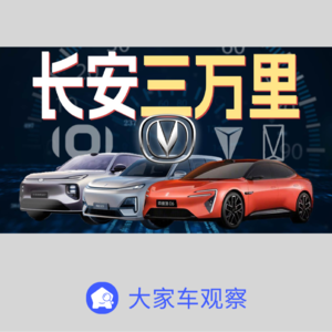 车观察 - 说好共进退，长安为什么能逆流而上？